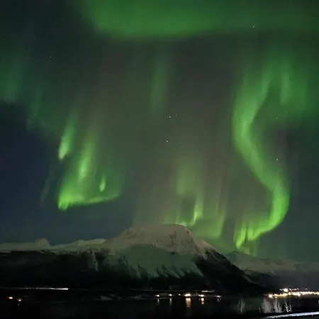 The Family House Apartamento *